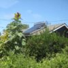 Sunbank 40 Gallon Solar Water Heater - SRCC Certified - Image 11